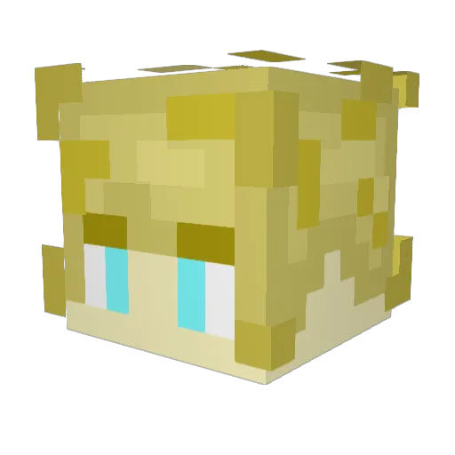 thetrickypelly Minecraft avatar head, 3D render