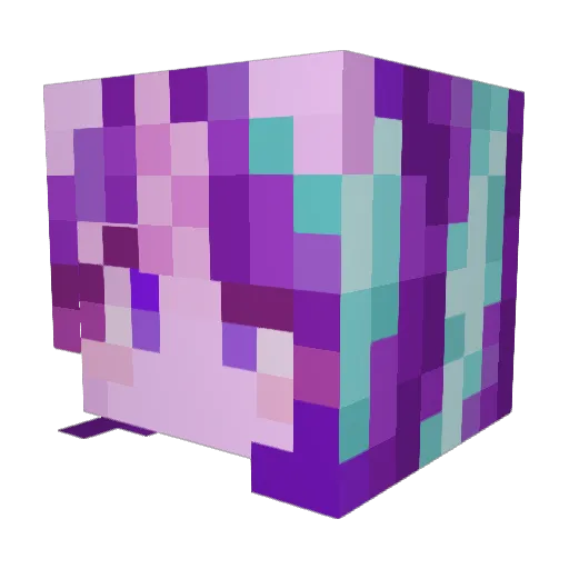 thewardenlord Minecraft avatar head, 3D render