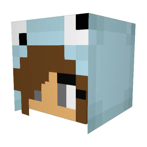 thewildchild1 Minecraft avatar head, 3D render