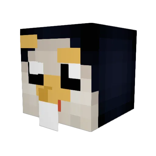 thewimp11 Minecraft avatar head, 3D render
