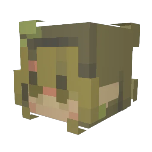 thexcomet Minecraft avatar head, 3D render