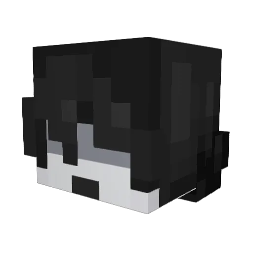 theyloverari Minecraft avatar head, 3D render
