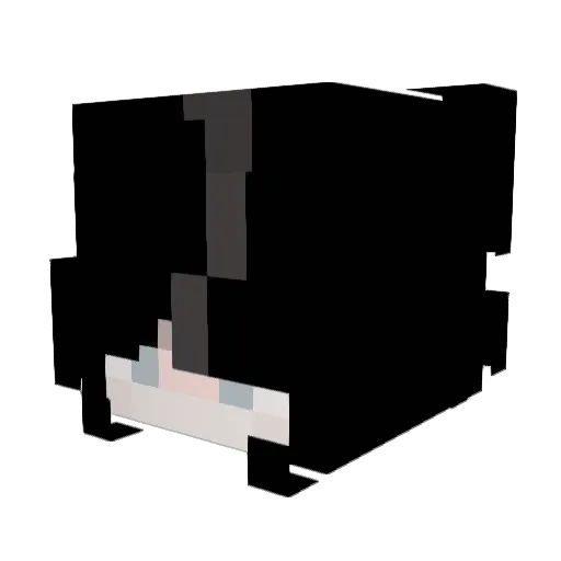 theylovesam301 Minecraft avatar head, 3D render