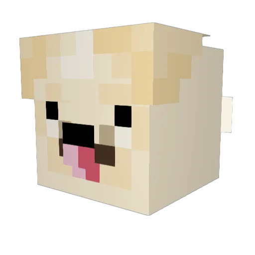theyolo11lolo Minecraft avatar head, 3D render