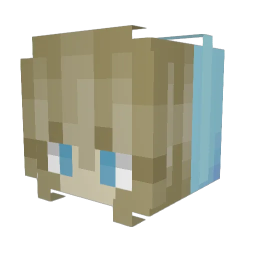 thezombieslaya65 Minecraft avatar head, 3D render
