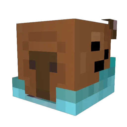 thiayoMC Minecraft avatar head, 3D render