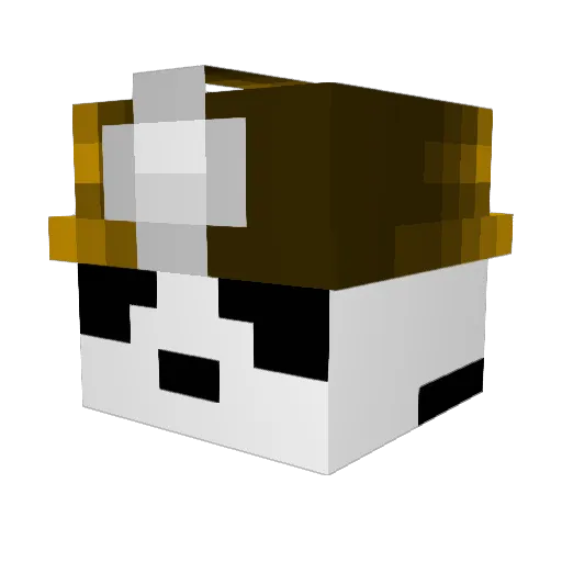 thibaultv2 Minecraft avatar head, 3D render