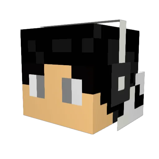 thibautdu025 Minecraft avatar head, 3D render