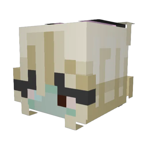thiccbussy Minecraft avatar head, 3D render