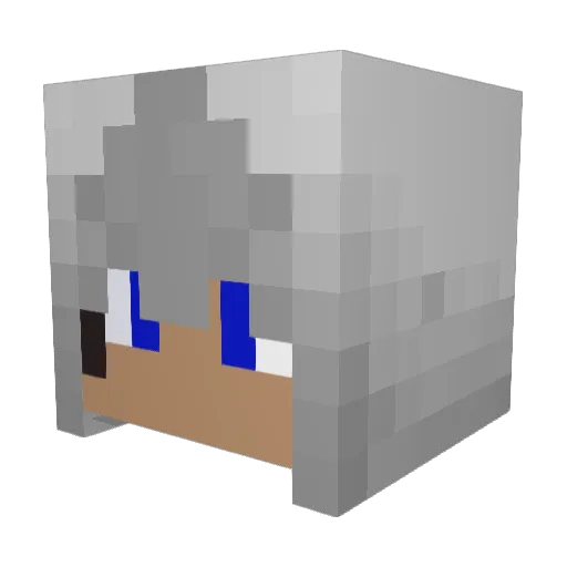 thiccc_riccc Minecraft avatar head, 3D render