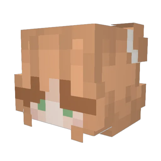 thiccthighs666 Minecraft avatar head, 3D render