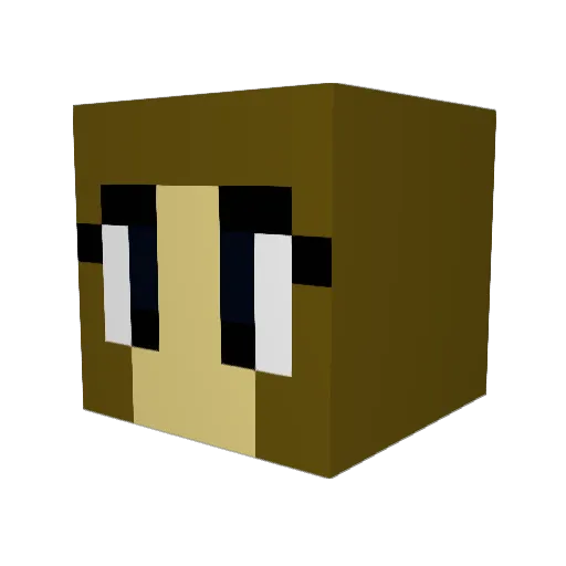 thickturtleboy Minecraft avatar head, 3D render