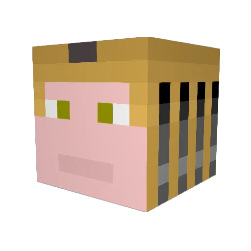 thief_BX Minecraft avatar head, 3D render