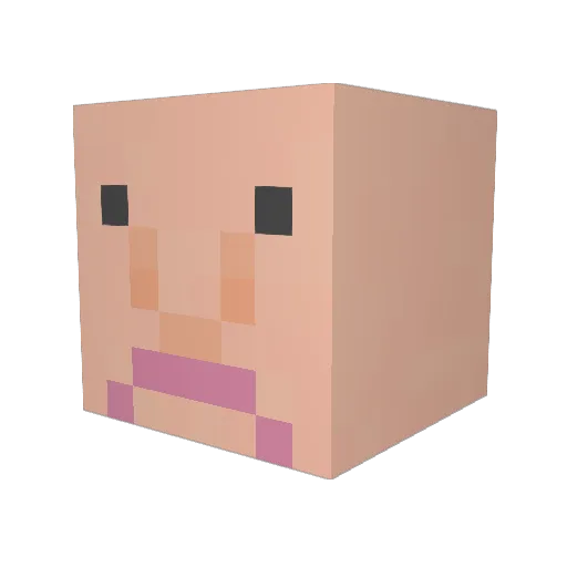 thijn_0606 Minecraft avatar head, 3D render