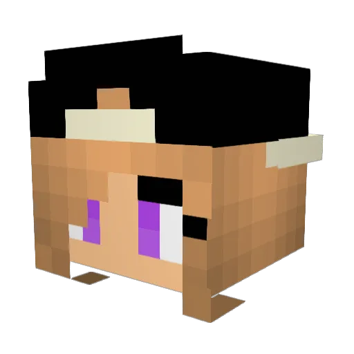 thijs4games Minecraft avatar head, 3D render