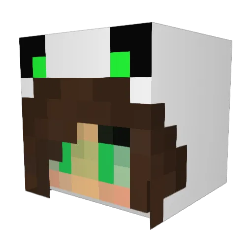 thinmint20 Minecraft avatar head, 3D render