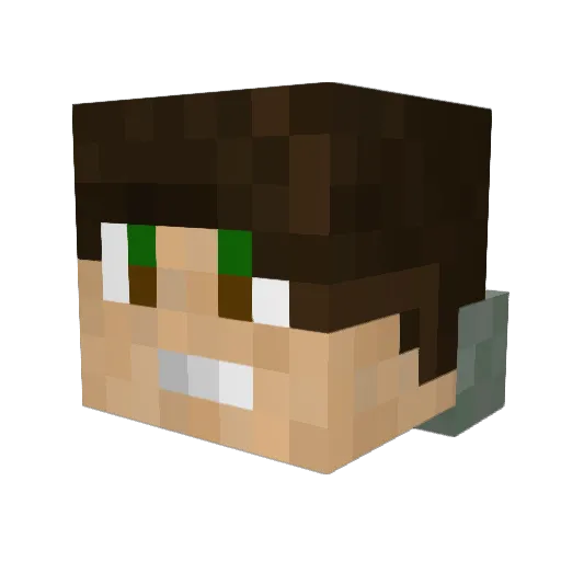 thisfieldisempty Minecraft avatar head, 3D render
