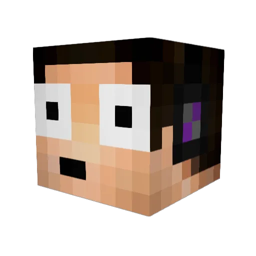 thisniggafly Minecraft avatar head, 3D render