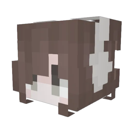 tho_toto Minecraft avatar head, 3D render