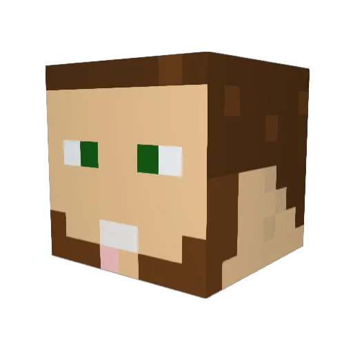 thoaure Minecraft avatar head, 3D render