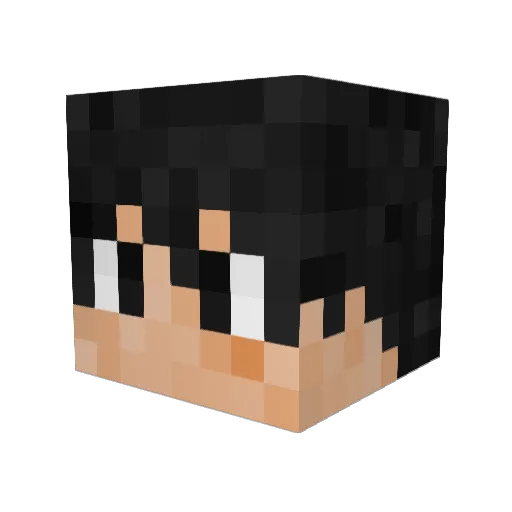 thomas04059 Minecraft avatar head, 3D render