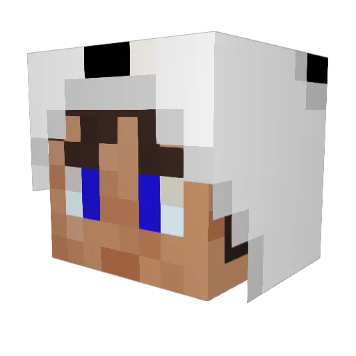 thomboy90 Minecraft avatar head, 3D render