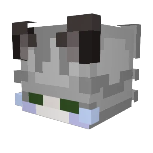 thonss Minecraft avatar head, 3D render