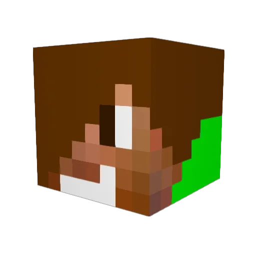 thorin987 Minecraft avatar head, 3D render