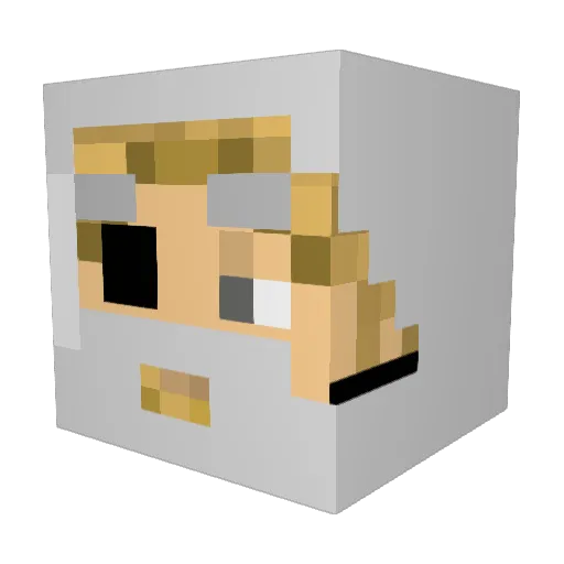 thorseidon Minecraft avatar head, 3D render