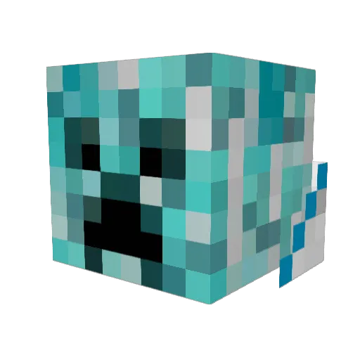 thrasherfan Minecraft avatar head, 3D render