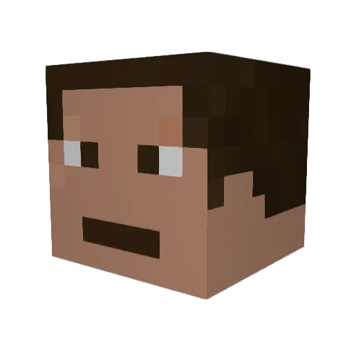 three14 Minecraft avatar head, 3D render