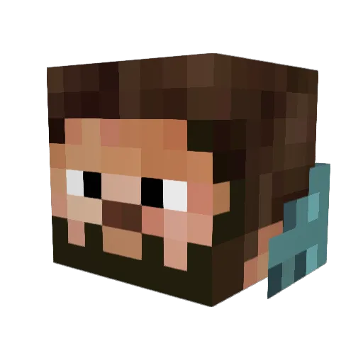 thrillseeker6996 Minecraft avatar head, 3D render
