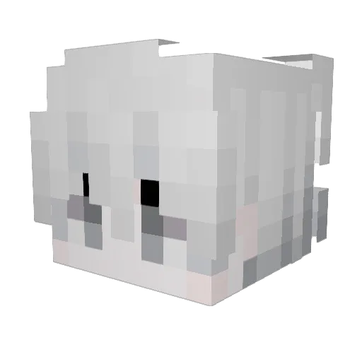 thrives123 Minecraft avatar head, 3D render