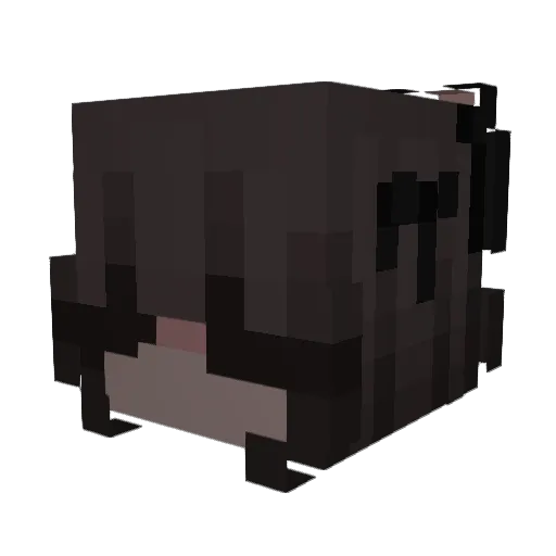 throatdemon12 Minecraft avatar head, 3D render