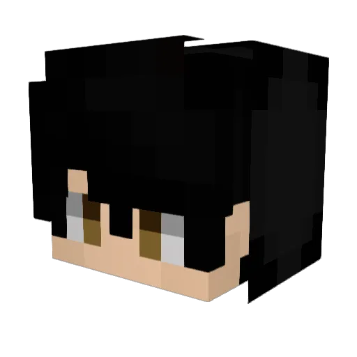 thuglife246 Minecraft avatar head, 3D render