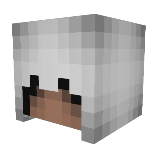 thundabolt2003 Minecraft avatar head, 3D render