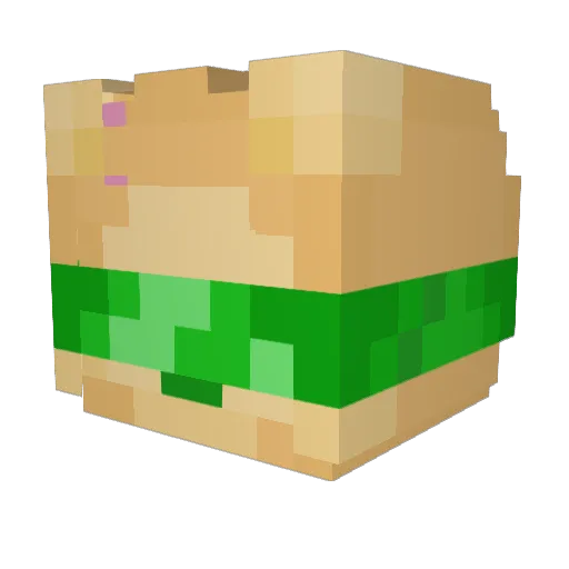 Minecraft-Avatar von thunderdrag0: Kopf als 3D-Render