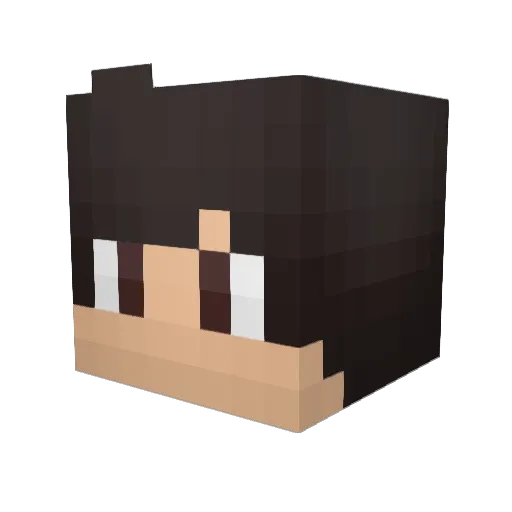 thunderdragon305 Minecraft avatar head, 3D render