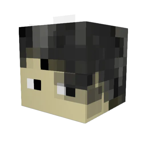 thunderfire101 Minecraft avatar head, 3D render