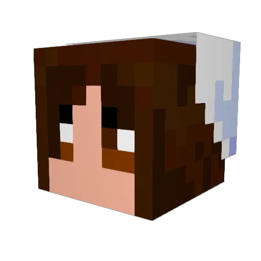 thunderflight Minecraft avatar head, 3D render