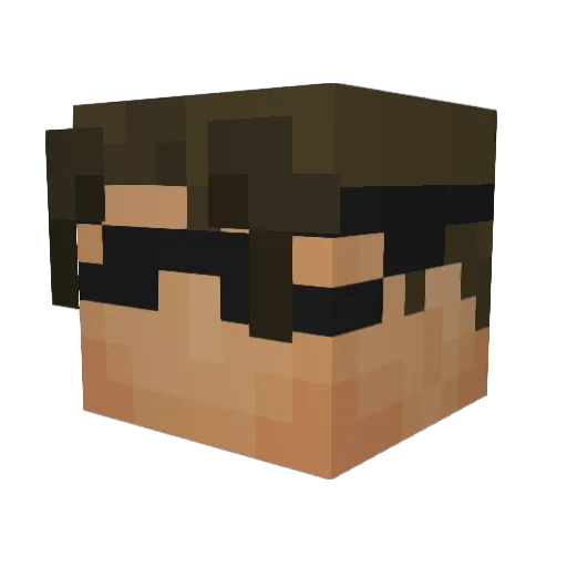 thundershred009 Minecraft avatar head, 3D render