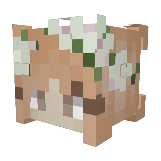 thuumcaller Minecraft avatar head, 3D render