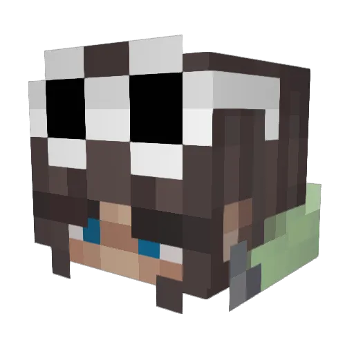 thy_quiggles Minecraft avatar head, 3D render