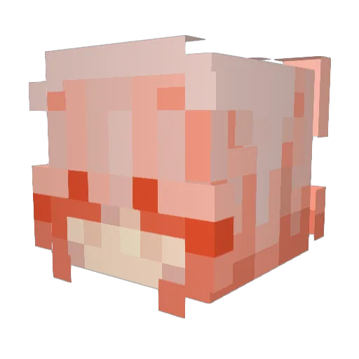 thymesnewroman Minecraft avatar head, 3D render