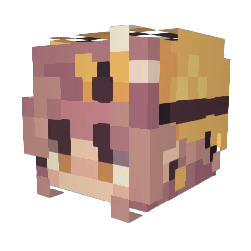 thyspaghett Minecraft avatar head, 3D render