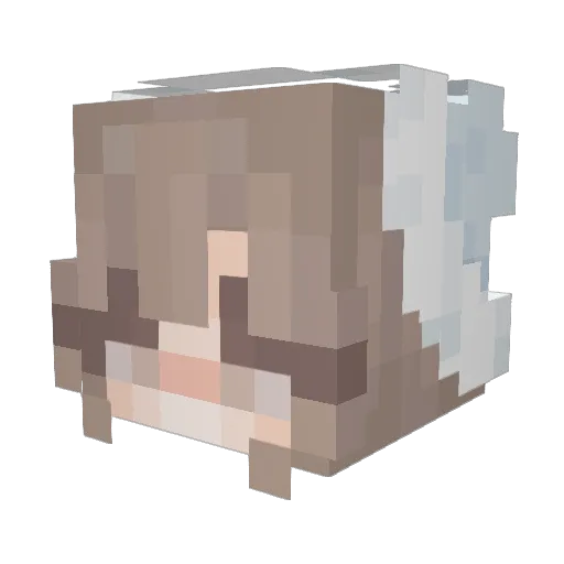 tials625 Minecraft avatar head, 3D render