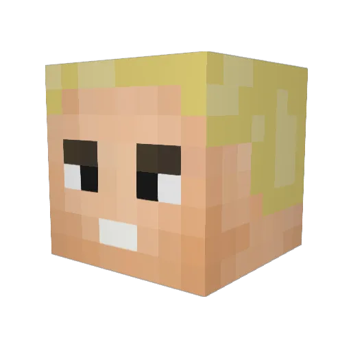 tiana666 Minecraft avatar head, 3D render