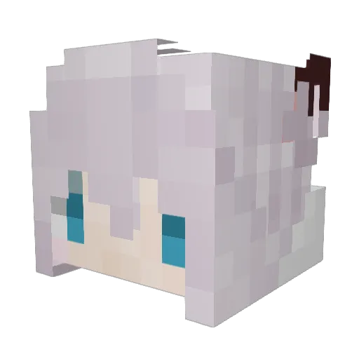 tianchen2003 Minecraft avatar head, 3D render