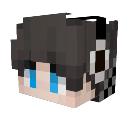 tianjieg Minecraft avatar head, 3D render