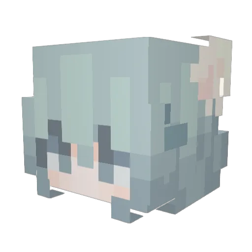 tiantianjideni Minecraft avatar head, 3D render